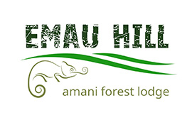 01 Sponsors