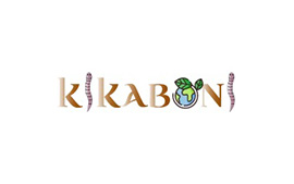01 Sponsors