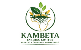 01 Sponsors
