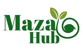 01 Sponsors